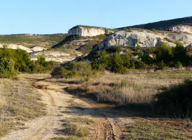 Hunters tracks