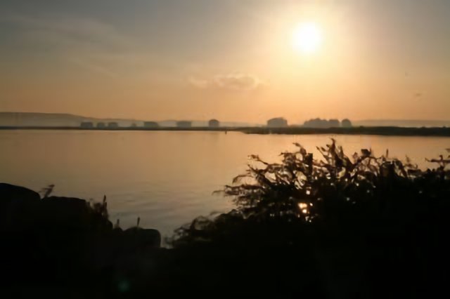 Plein soleil sur l'étang