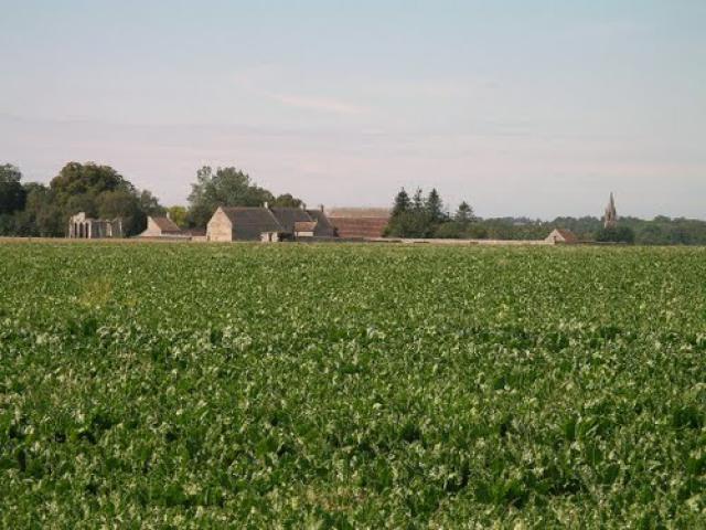 Le Vieux Château