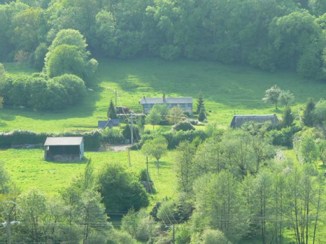 paysage normand
