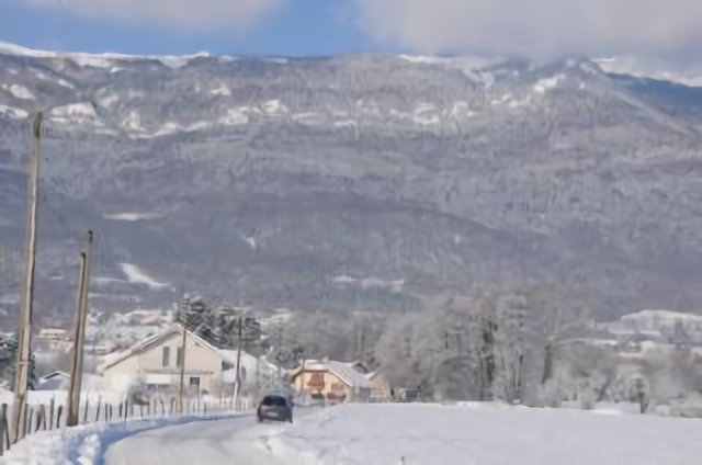 Snowy way home