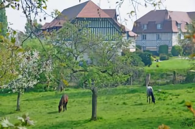 Circqueboeuf : Bocage.
