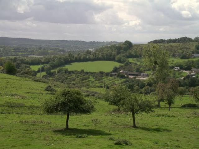 Panorama sur le Pays d'Auge