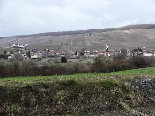 Passy sur Marne vu de Sauvigny