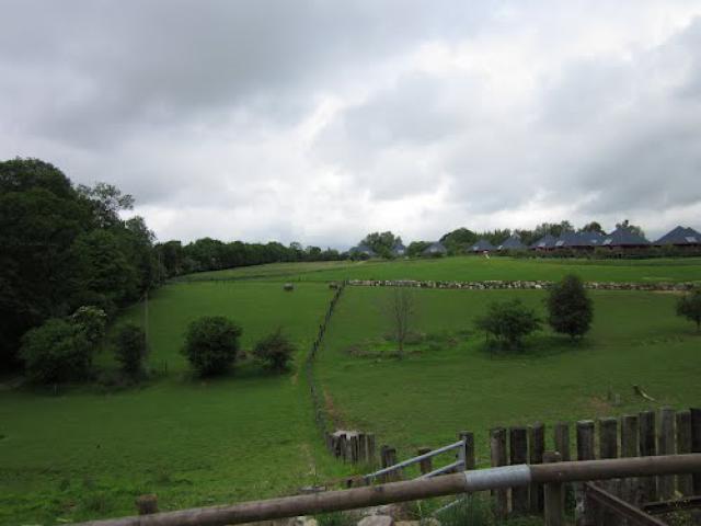 Cerza Zoo
