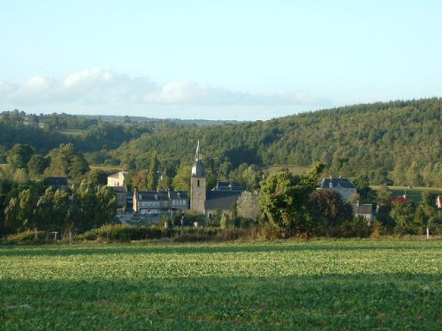 Lassy from a distance