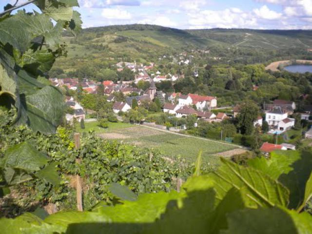 Jaulgonne 02850