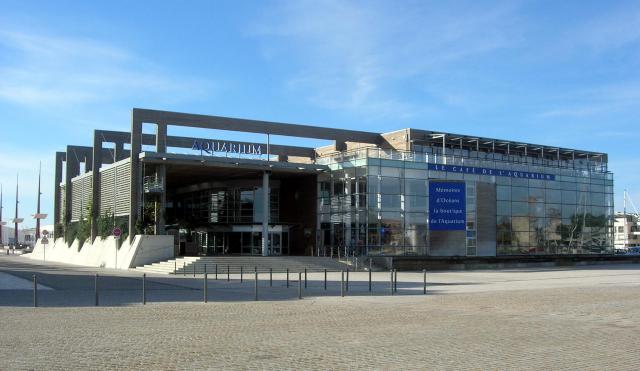 Description =Aquarium de la Rochelle Source =Photo taken by Remi Jouan Date =Octobre 2006 Author =Remi Jouan