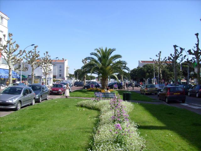 photographie de Cobber17