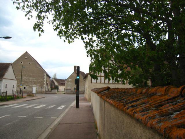 Tuiles au lychen.