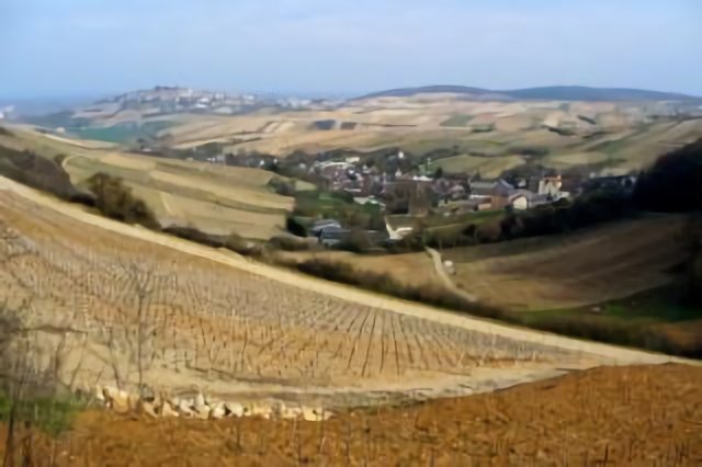 Les vignobles du Sancerrois au printemps