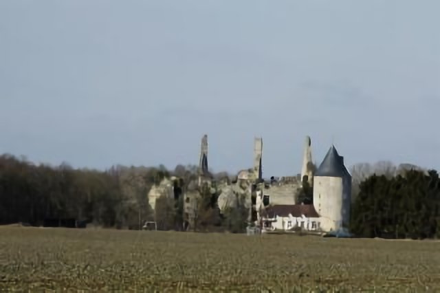 VORLY - Château de BOIS-SIR-AME - Ruines
