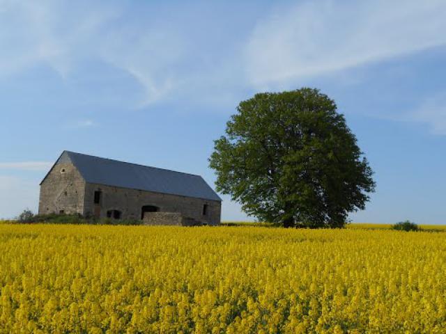 Ferme abandonnée