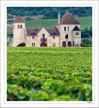 The cellars of Château de la Tour