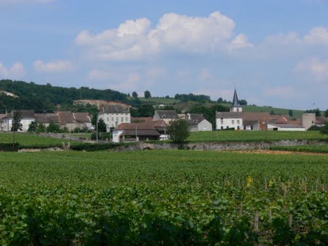 Chassagne - Montrachet (Côte d'Or)