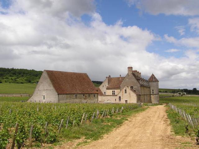 Clos de Vougeot