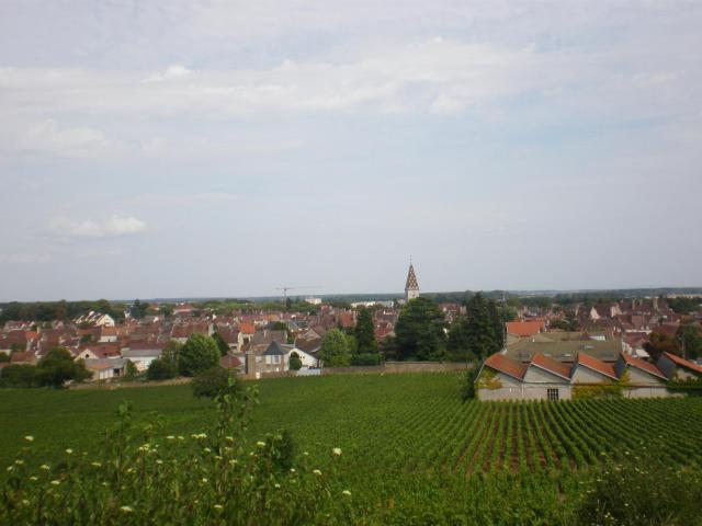 Vue de Nuits-Saint-Georges dans une côte