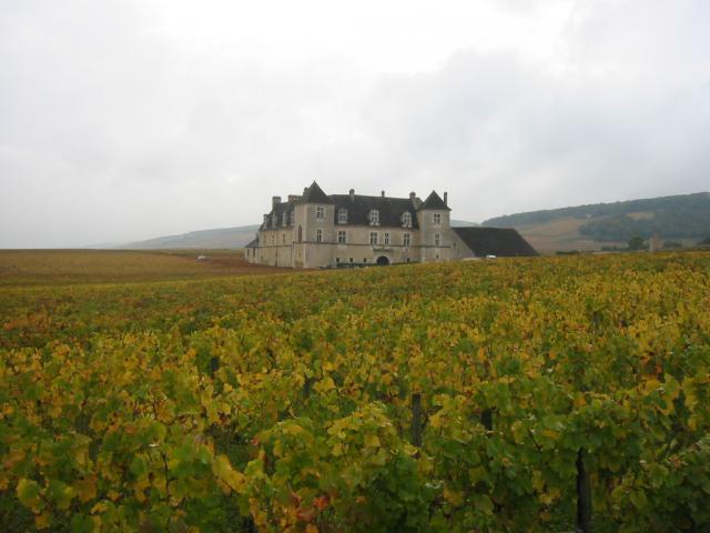 Photo de Vougeot
