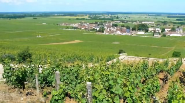 Vosne-Romanée (à g. le domaine de la Romanée-Conti).