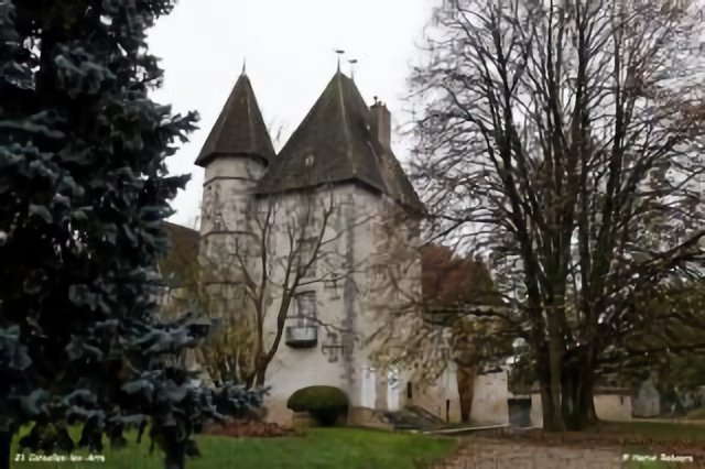 21 Corcelles-les-Arts - Château