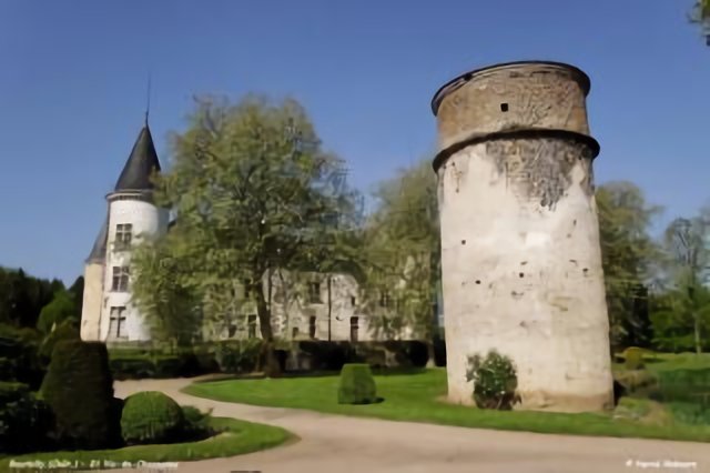 21 Vic-de-Chassenay - Pigeonnier Bourbilly