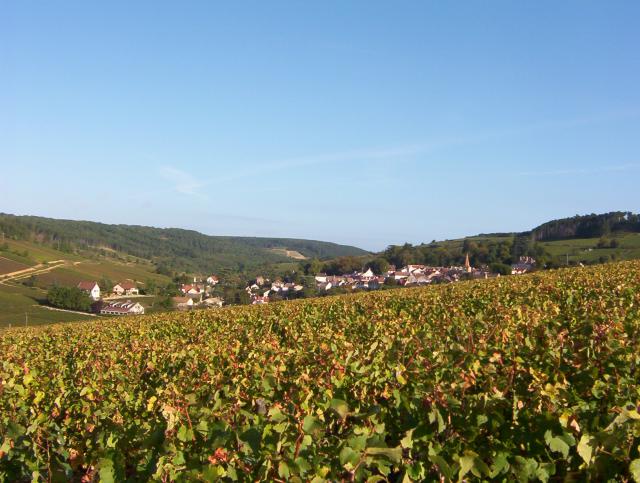 Pernand-Vergelesses vue des vignes du Domaine Bonneau du Martray.