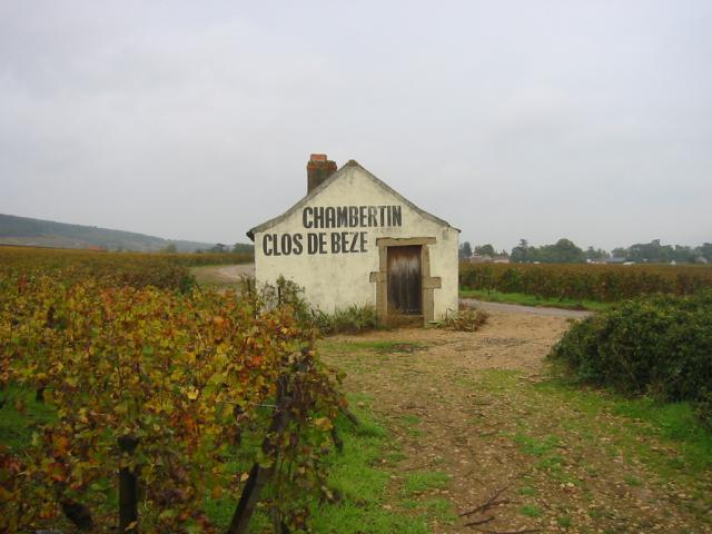 Vignoble du Clos de Beze 2. Appelation Gevrey Chambertin grand cru AOC des vins de Bourgogne