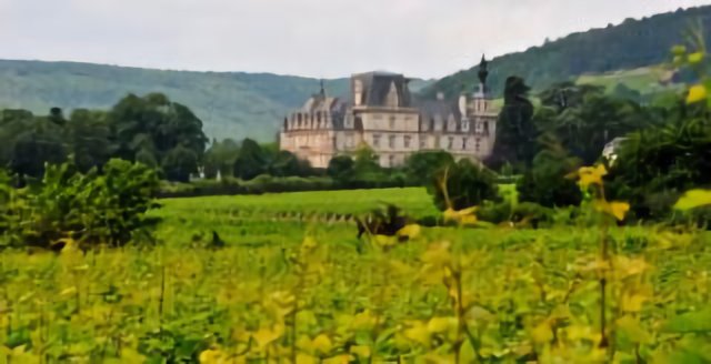 le chateau