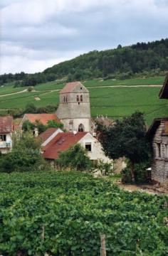 Nantoux et ses vignes