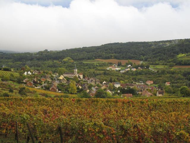 Village d'Arcenant et les vignes en automne