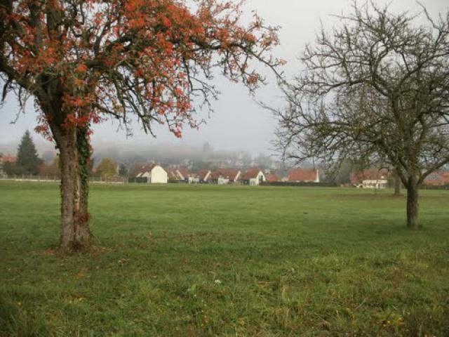 le village de Chamouille