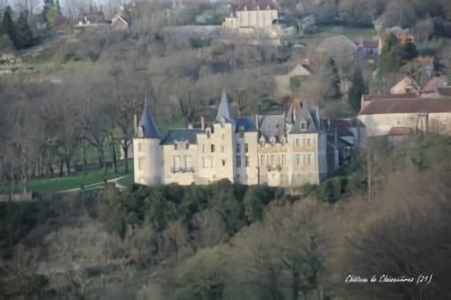 Château de Chénecières (21)