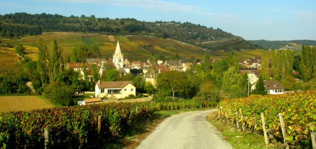 Paysage du village d'Auxey-Duresses, Côte d'Or, Bourgogne, France