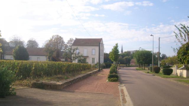Une des rues de Meursault (21)
