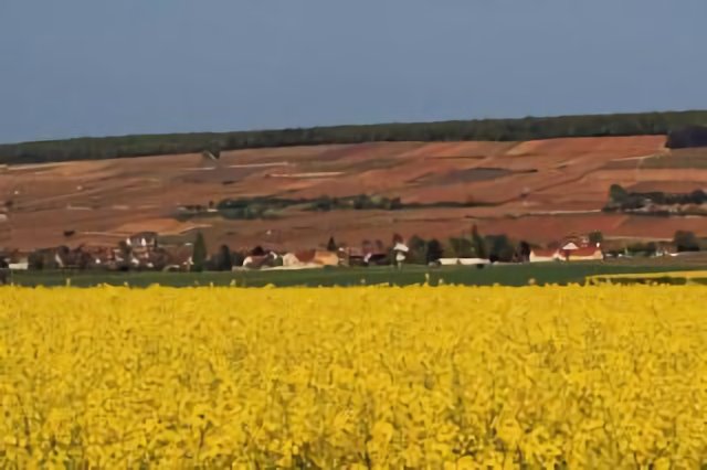 The spring colours of rural Burgundy