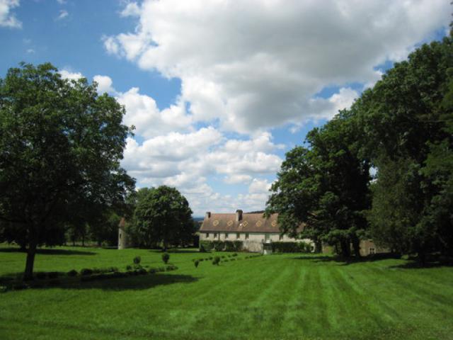 Pelouse d'herbe dans le parc du château.