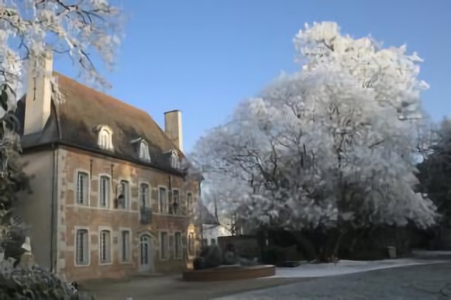 Parc Magnin sous la neige - Décembre 2007