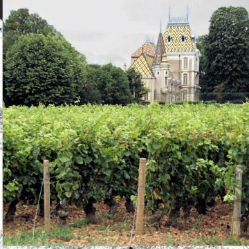 Aloxe-Corton