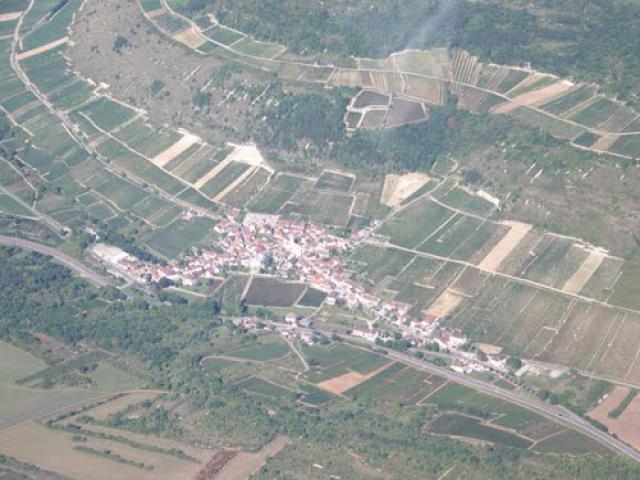 Gamay vu d'avion