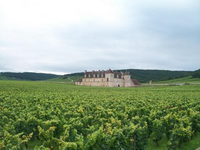 Le Clos Vougeot dans ses vignes
