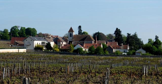General view (south) of Morey-Saint-Denis, France, in the northern section of the Côte d'Or called Côte de Nuits.
