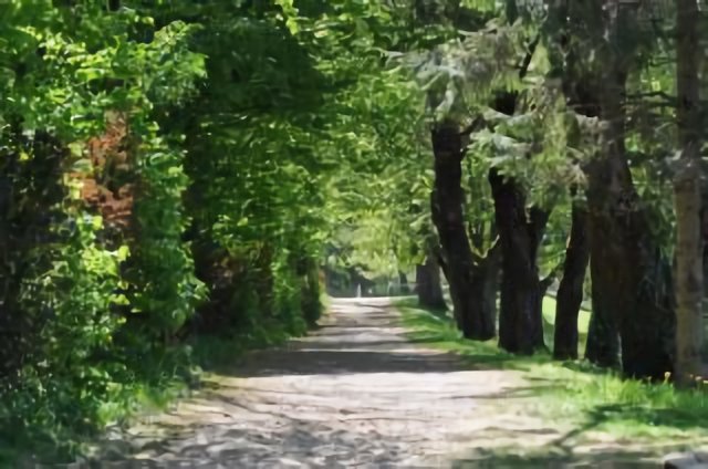 Dijon chemin du lac de Chanoine Kir