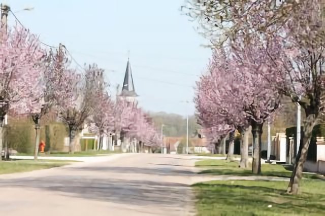 St Nicolas les Citeaux Route de la Forêt
