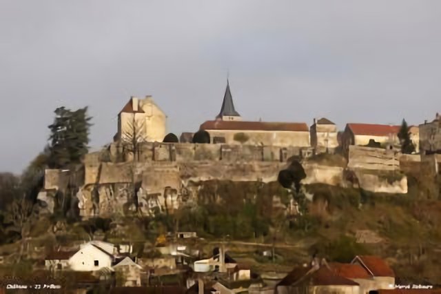 21 Frôlois - Château