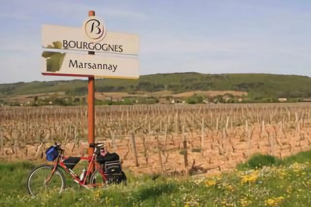 Into the wine region
