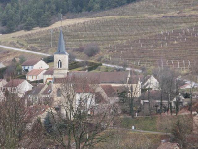 Eglise d'Arcenant et les vignobles de Bourgogne en Côtes d'Or.