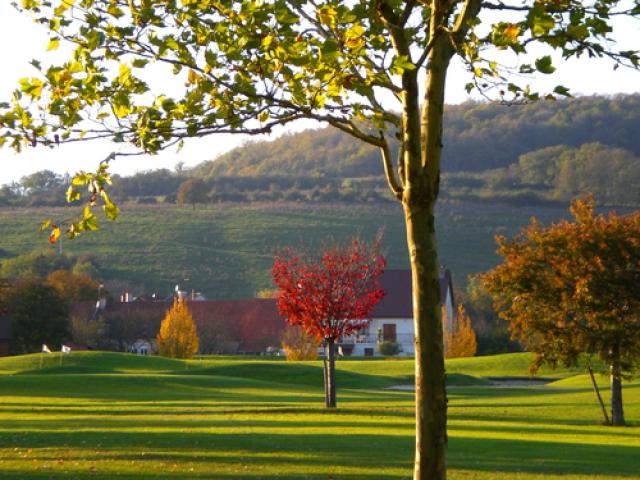 autunno a Chailly