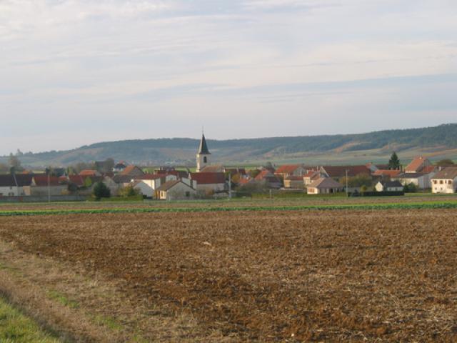 cerilly cote est