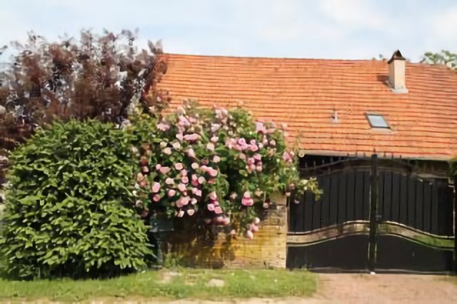 Bouquet de roses