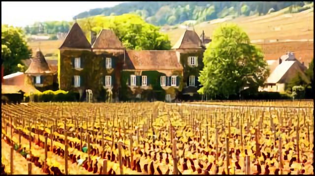 Château des vins de Bourgogne